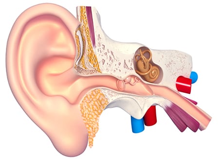What to expect with your child’s ear tube surgery